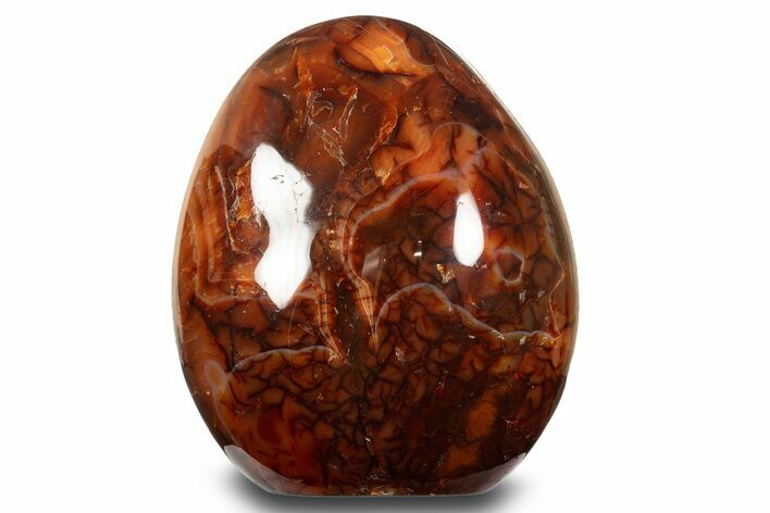 Free-Standing, Polished Carnelian Agate - Madagascar #317556